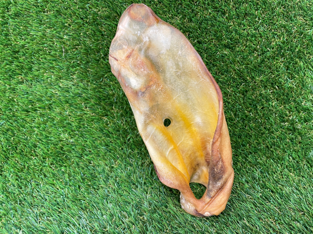Cow Ear Dog Treat - (No Fur)