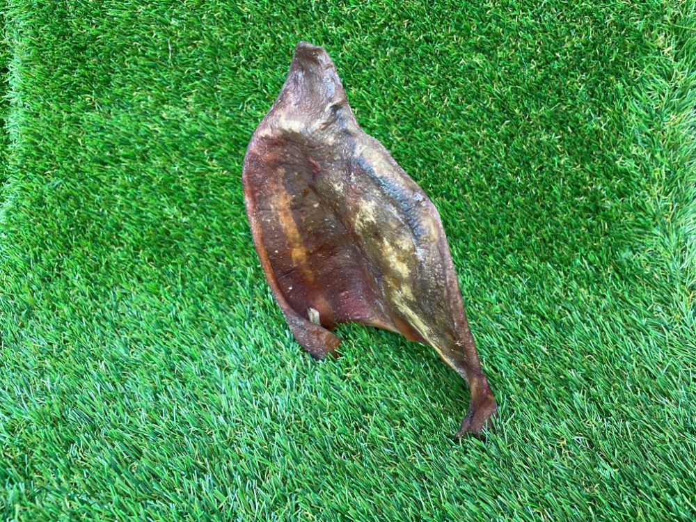 Pigs Ear Dog Treat - 1pc