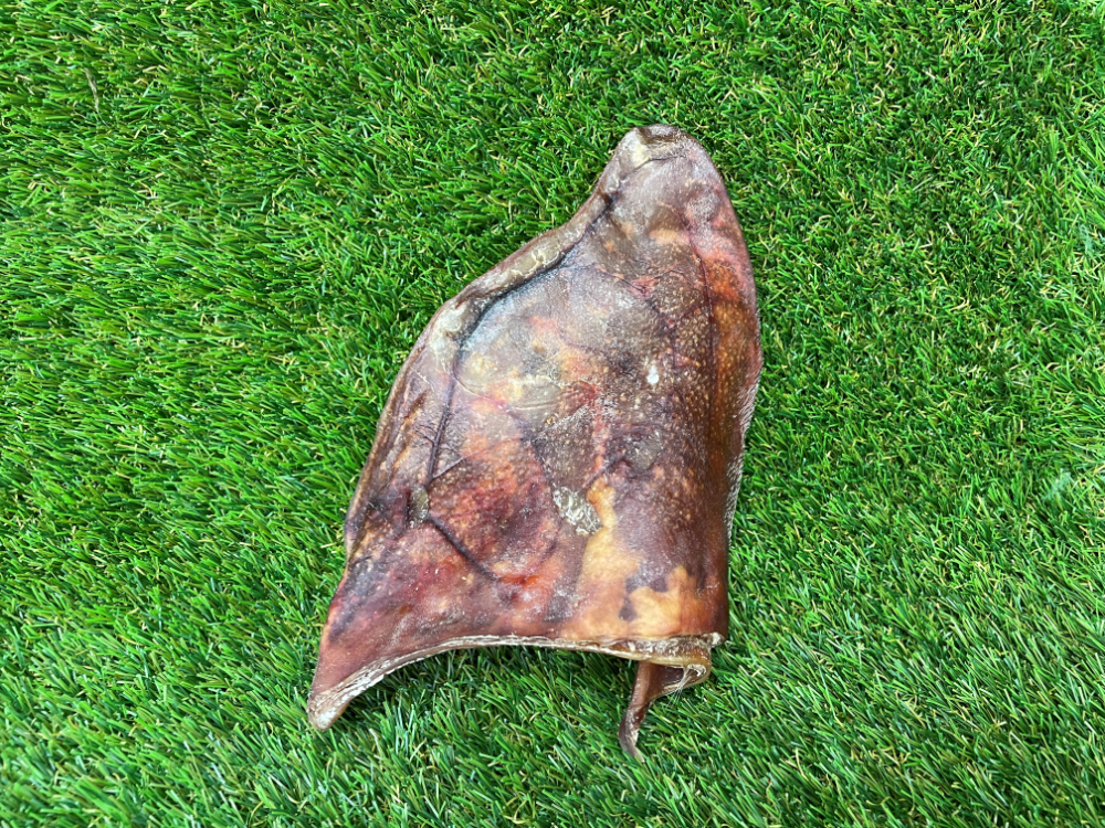 Pigs Ear Dog Treat - 1pc