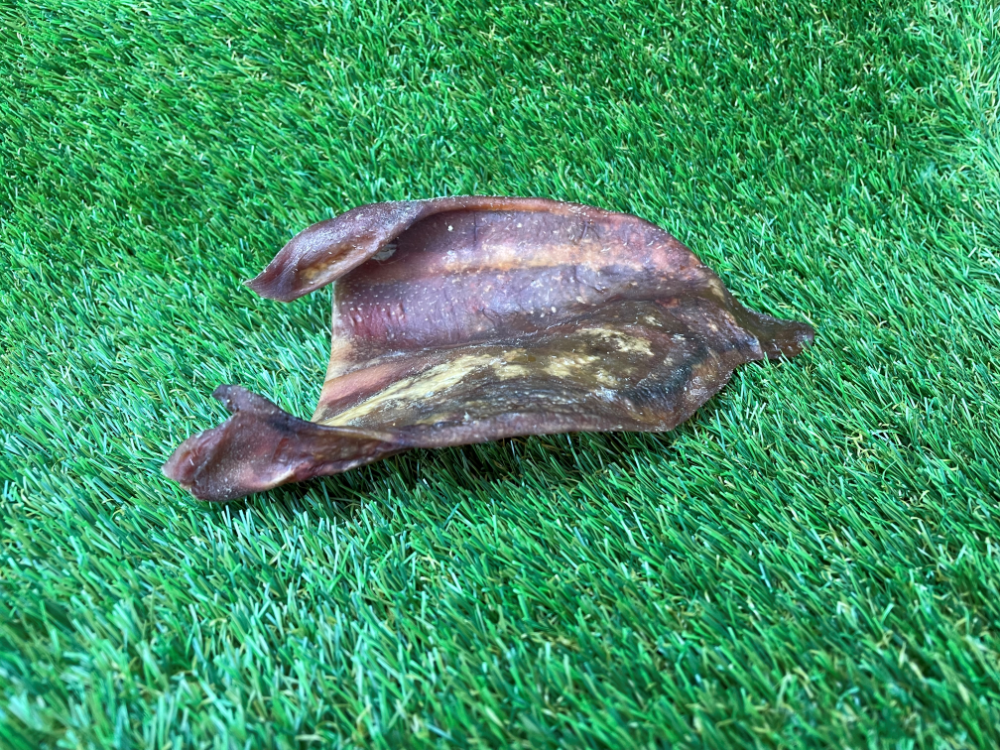 Pigs Ear Dog Treat - 1pc