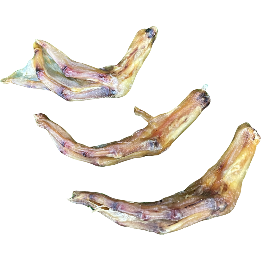 Duck Feet Dog Treat - 1kg