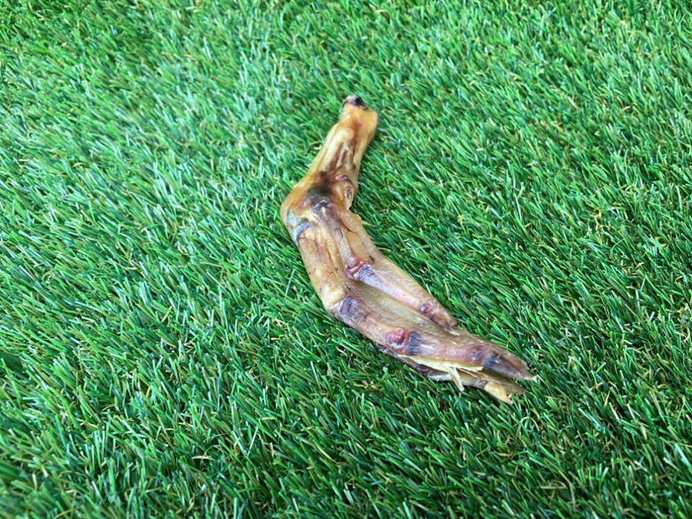 Duck Feet Dog Treat - 1kg