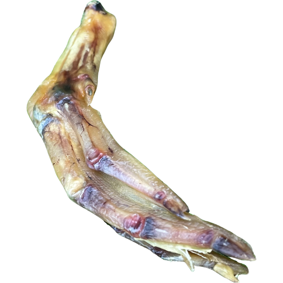 Duck Feet Dog Treat - 1kg