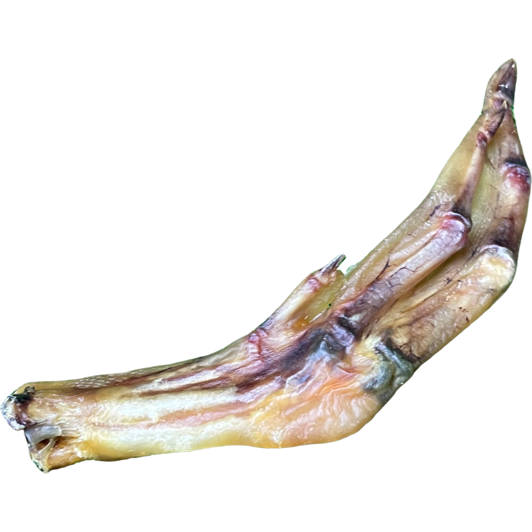 Duck Feet Dog Treat - 1kg