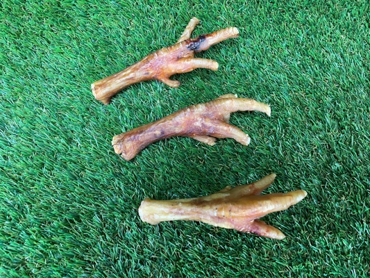 Chicken Feet Dog Treat - 1kg