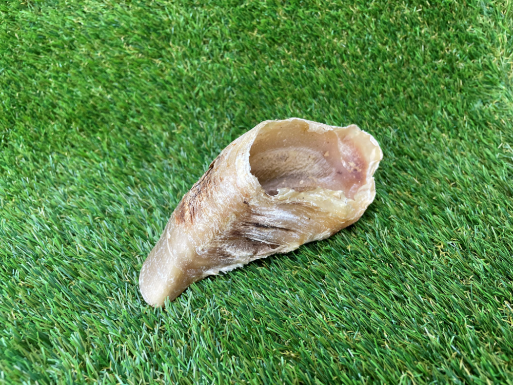 Beef Hoof Foot Dog Treat - 1pcs