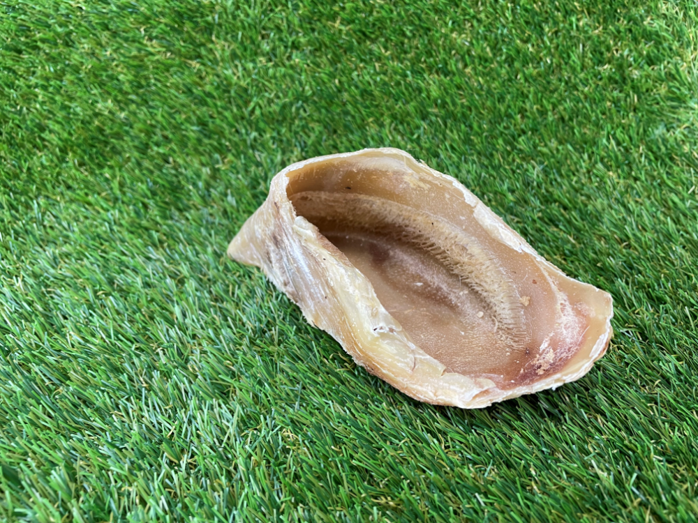 Beef Hoof Foot Dog Treat - 1pcs