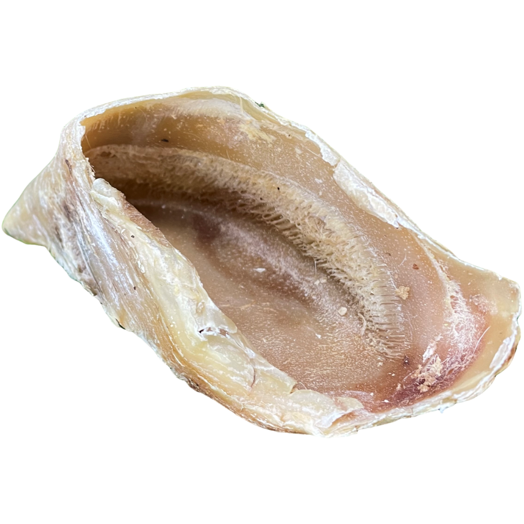 Beef Hoof Foot Dog Treat - 1pcs