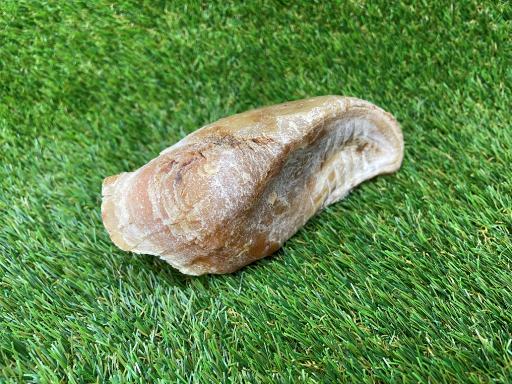 Beef Hoof Foot Dog Treat - 1pcs