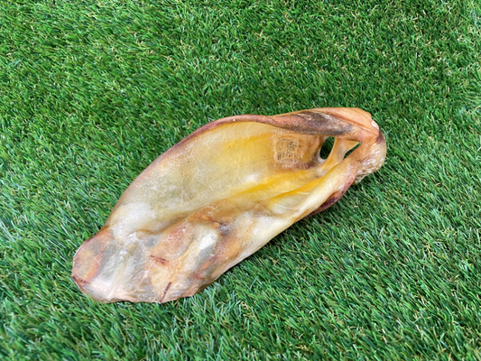Cow Ear Dog Treat - (No Fur)