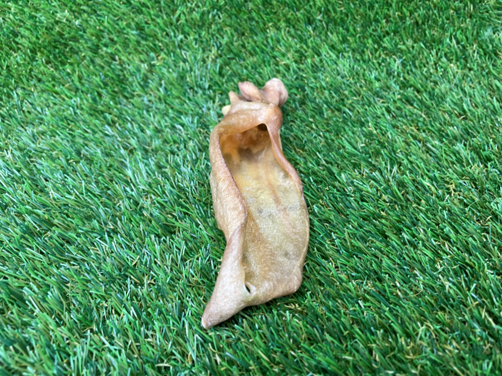 Lamb Ear Dog Treat (No Hair) - 200g