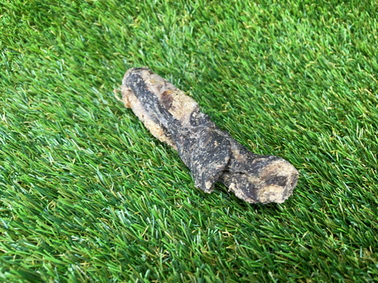 Turkey Jerky Dog Treat - 100g