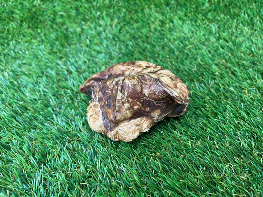 Chicken Heart Dog Treat