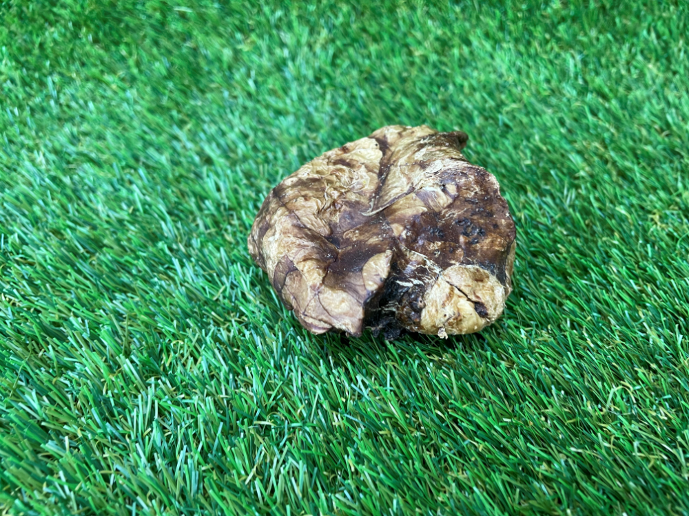 Chicken Heart Dog Treat